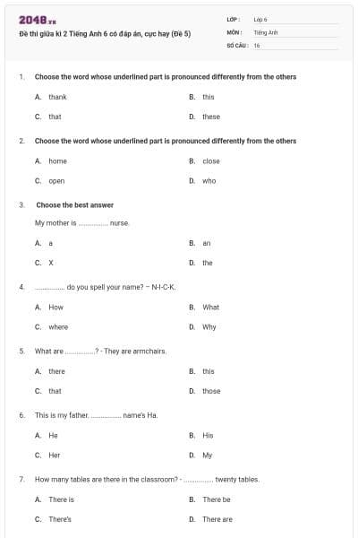 Đề thi giữa kì 2 Tiếng Anh 6 có đáp án, cực hay (Đề 5)