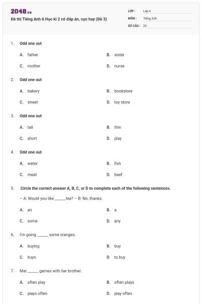 Đề thi Tiếng Anh 6 Học kì 2 có đáp án, cực hay (Đề 3)