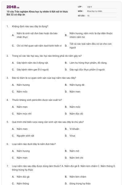10 câu Trắc nghiệm Khoa học tự nhiên 6 Kết nối tri thức Bài 32 có đáp án