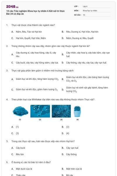 10 câu Trắc nghiệm Khoa học tự nhiên 6 Kết nối tri thức Bài 34 có đáp án