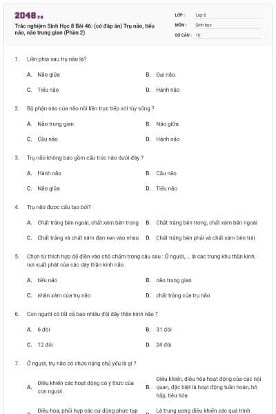 Trắc nghiệm Sinh Học 8 Bài 46: (có đáp án) Trụ não, tiểu não, não trung gian (Phần 2)