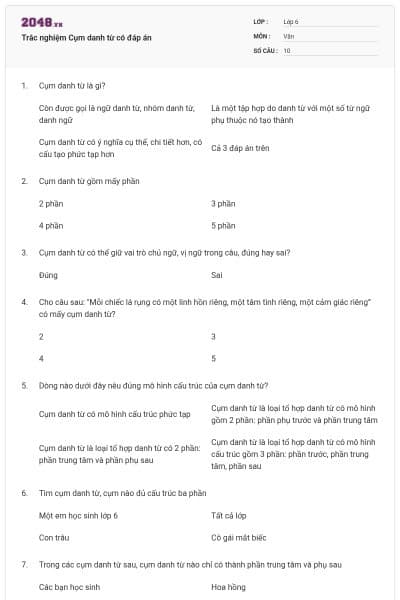 Trắc nghiệm Cụm danh từ có đáp án