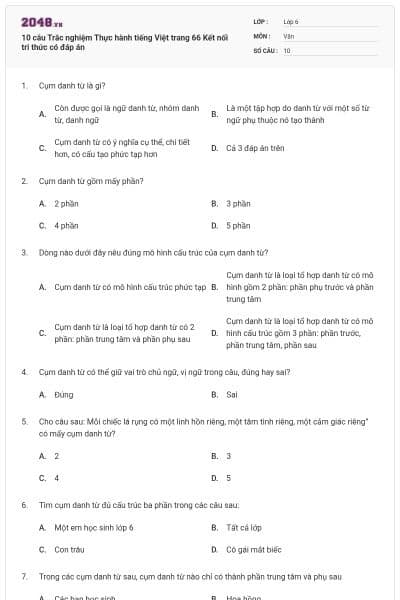 10 câu Trắc nghiệm Thực hành tiếng Việt trang 66 Kết nối tri thức có đáp án