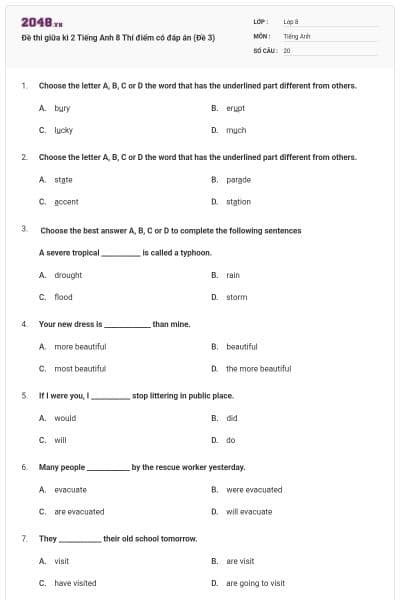 Đề thi giữa kì 2 Tiếng Anh 8 Thí điểm có đáp án (Đề 3)