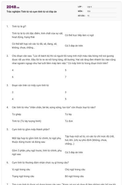 Trắc nghiệm Tính từ và cụm tính từ có đáp án