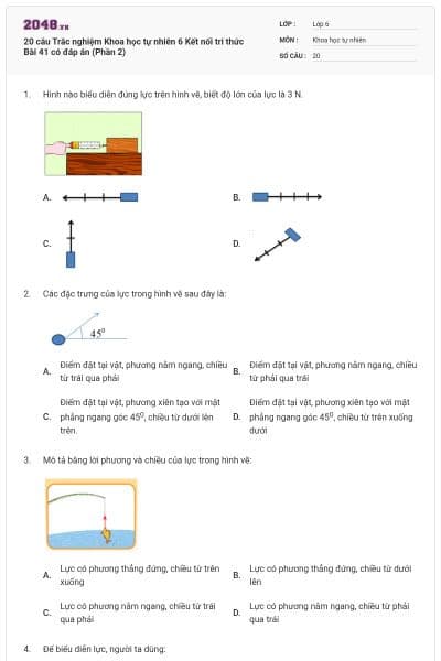 20 câu Trắc nghiệm Khoa học tự nhiên 6 Kết nối tri thức Bài 41 có đáp án (Phần 2)