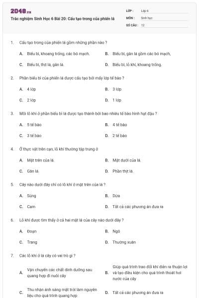 Trắc nghiệm Sinh Học 6 Bài 20: Cấu tạo trong của phiến lá