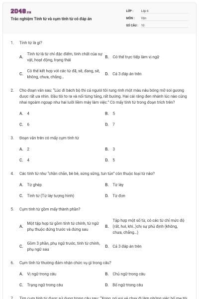 Trắc nghiệm Tính từ và cụm tính từ có đáp án