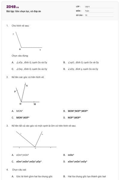 Bài tập: Góc chọn lọc, có đáp án
