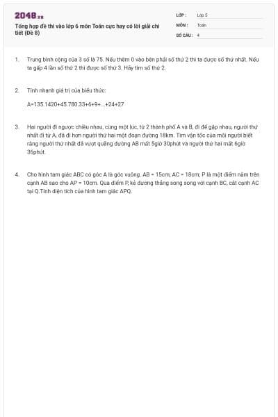 Tổng hợp đề thi vào lớp 6 môn Toán cực hay có lời giải chi tiết (Đề 8)