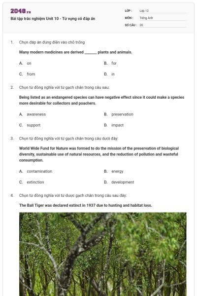 Bài tập trắc nghiệm Unit 10 - Từ vựng có đáp án