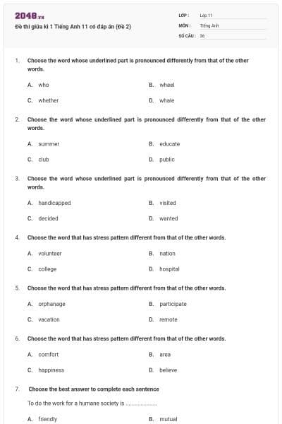 Đề thi giữa kì 1 Tiếng Anh 11 có đáp án (Đề 2)