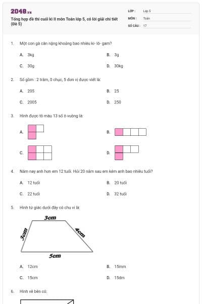 Tổng hợp đề thi cuối kì II môn Toán lớp 5, có lời giải chi tiết (Đề 5)
