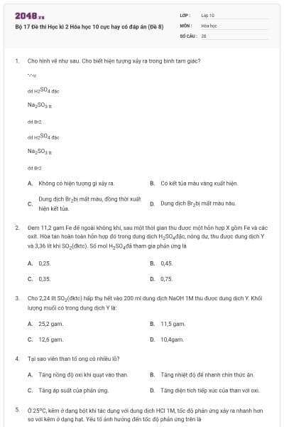 Bộ 17 Đề thi Học kì 2 Hóa học 10 cực hay có đáp án (Đề 8)