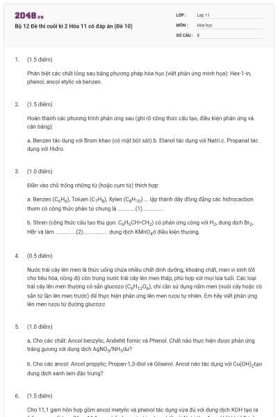 Bộ 12 Đề thi cuối kì 2 Hóa 11 có đáp án (Đề 10)