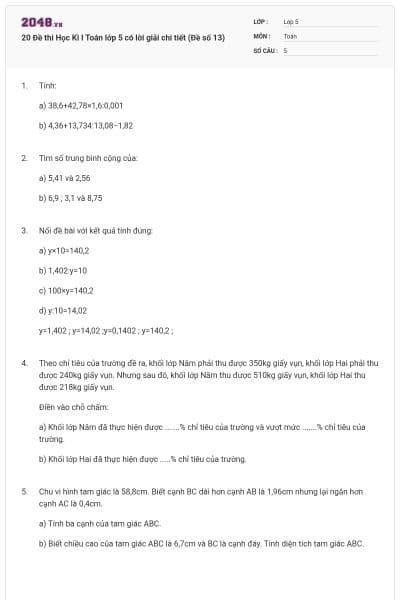 20 Đề thi Học Kì I Toán lớp 5 có lời giải chi tiết (Đề số 13)