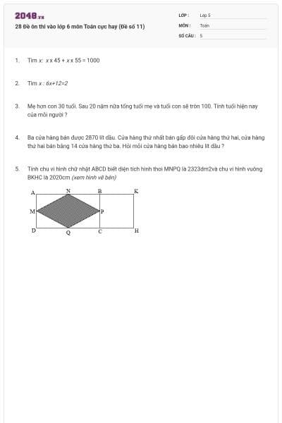 28 Đề ôn thi vào lớp 6 môn Toán cực hay (Đề số 11)
