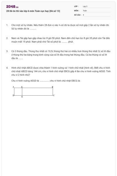 28 Đề ôn thi vào lớp 6 môn Toán cực hay (Đề số 13)