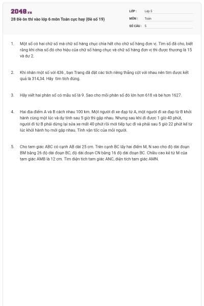 28 Đề ôn thi vào lớp 6 môn Toán cực hay (Đề số 19)