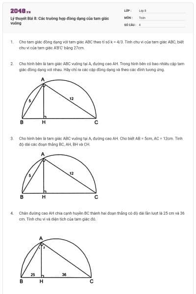 Lý thuyết Bài 8: Các trường hợp đồng dạng của tam giác vuông