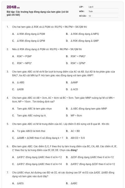 Bài tập: Các trường hợp đồng dạng của tam giác (có lời giải chi tiết)