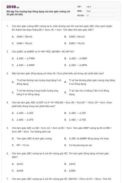 Bài tập Các trường hợp đồng dạng của tam giác vuông (có lời giải chi tiết)