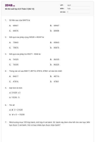 Đề thi cuối học kì II Toán 3 (Đề 13)
