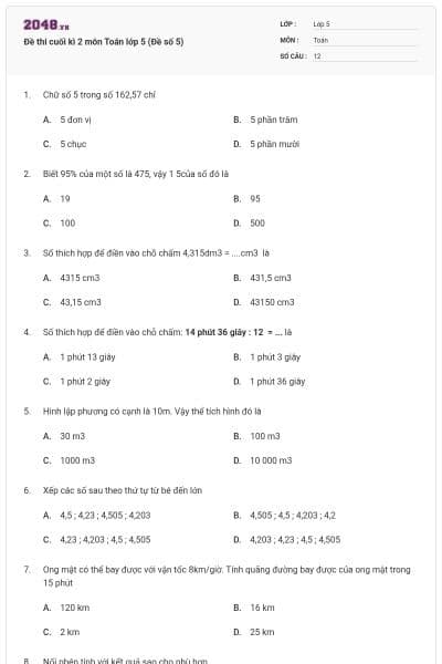Đề thi cuối kì 2 môn Toán lớp 5 (Đề số 5)
