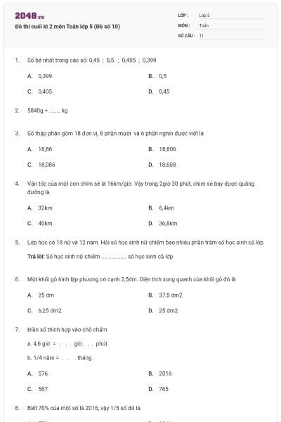 Đề thi cuối kì 2 môn Toán lớp 5 (Đề số 10)