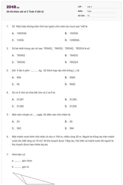 Đề thi khảo sát số 2 Toán 4 (Đề 6)