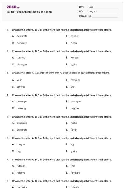 Bài tập Tiếng Anh lớp 6 Unit 6 có đáp án