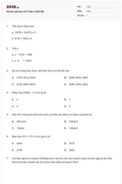 Đề thi cuối học kì II Toán 3 (Đề 46)