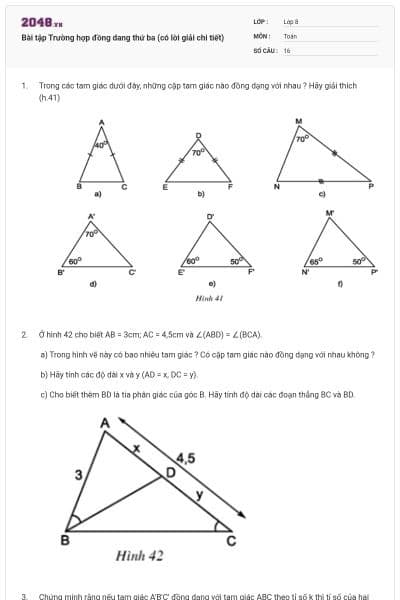 Bài tập Trường hợp đồng dang thứ ba (có lời giải chi tiết)