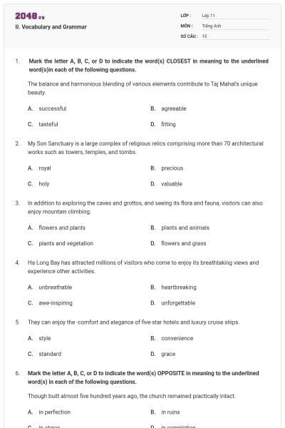 II. Vocabulary and Grammar