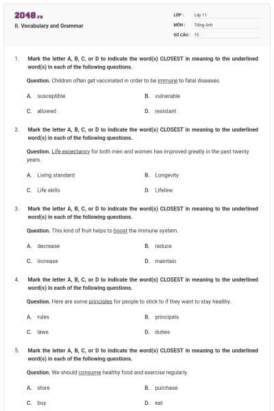 II. Vocabulary and Grammar