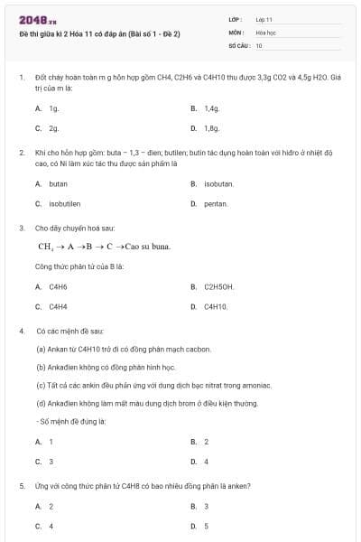 Đề thi giữa kì 2 Hóa 11 có đáp án (Bài số 1 - Đề 2)