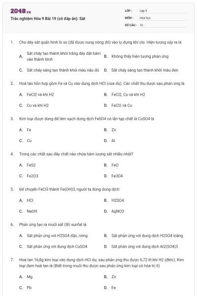 Trắc nghiệm Hóa 9 Bài 19 (có đáp án): Sắt