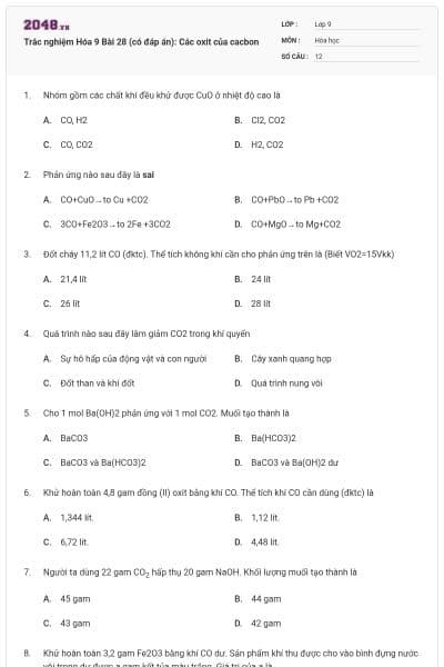 Trắc nghiệm Hóa 9 Bài 28 (có đáp án): Các oxit của cacbon