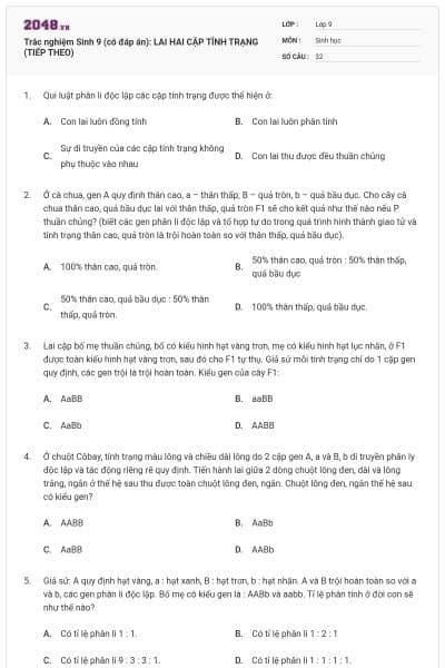 Trắc nghiệm Sinh 9 (có đáp án): LAI HAI CẶP TÍNH TRẠNG (TIẾP THEO)