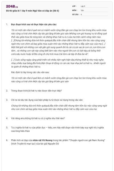 Đề thi giữa kì 1 lớp 9 môn Ngữ Văn có đáp án (Đề 6)