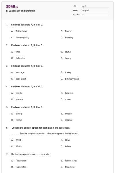 II. Vocabulary and Grammar