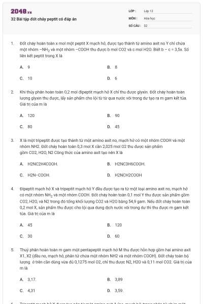 32 Bài tập đốt cháy peptit có đáp án