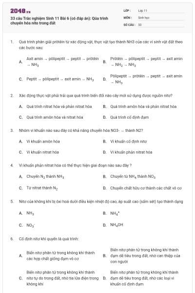 33 câu Trắc nghiệm Sinh 11 Bài 6 (có đáp án): Qúa trình chuyển hóa nito trong đất