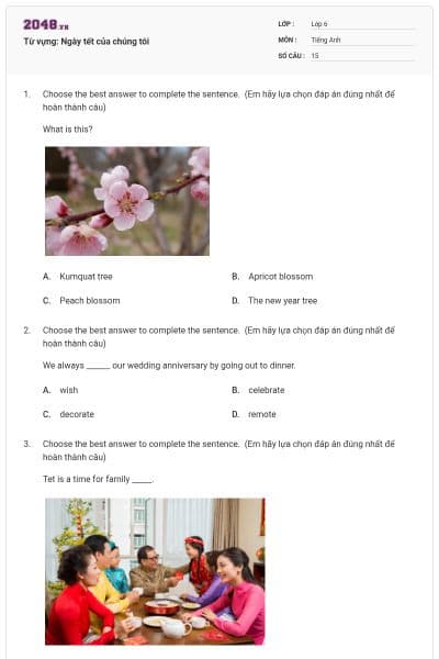 Từ vựng: Ngày tết của chúng tôi