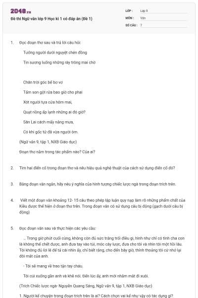 Đề thi Ngữ văn lớp 9 Học kì 1 có đáp án (Đề 1)