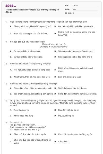 Trắc nghiệm: Thực hành về nghĩa của từ trong sử dụng có đáp án