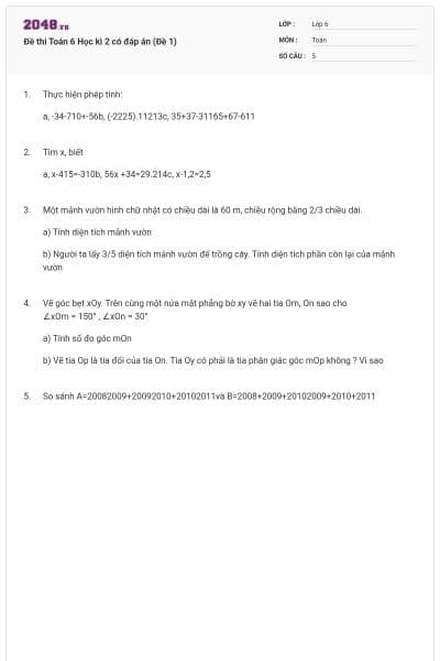 Đề thi Toán 6 Học kì 2 có đáp án (Đề 1)