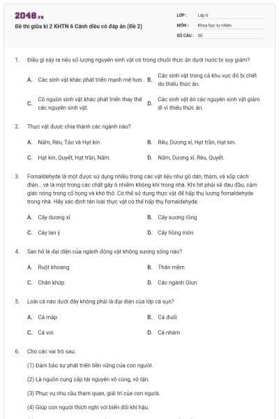 Đề thi giữa kì 2 KHTN 6 Cánh diều có đáp án (Đề 2)