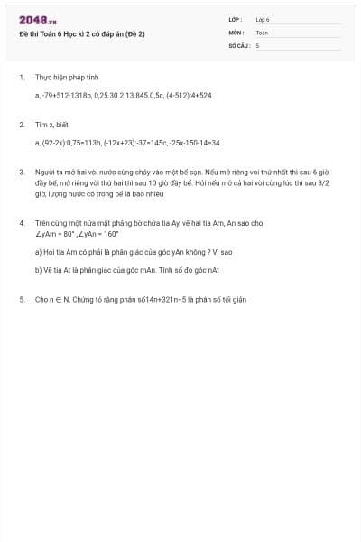 Đề thi Toán 6 Học kì 2 có đáp án (Đề 2)