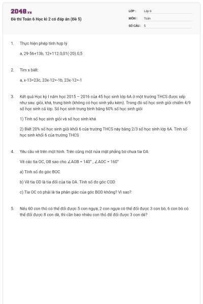 Đề thi Toán 6 Học kì 2 có đáp án (Đề 5)